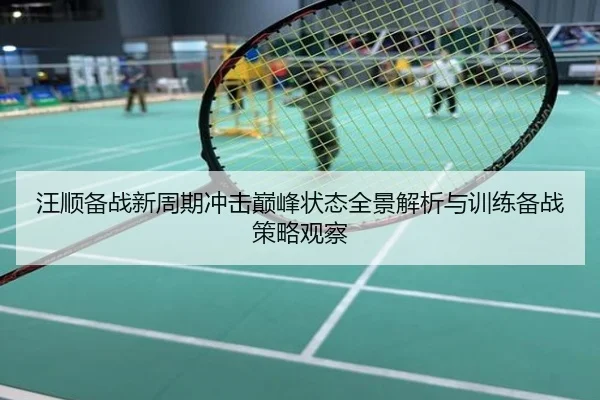 汪顺备战新周期冲击巅峰状态全景解析与训练备战策略观察