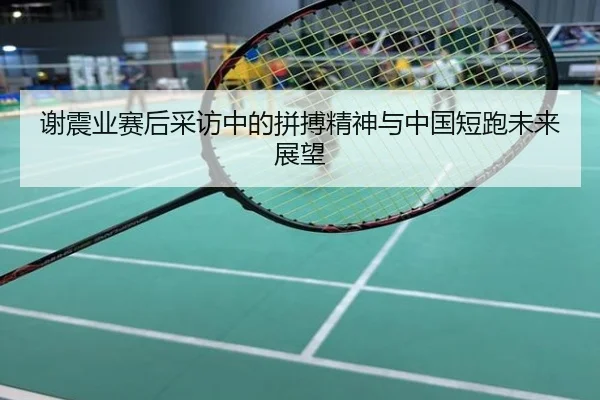 谢震业赛后采访中的拼搏精神与中国短跑未来展望