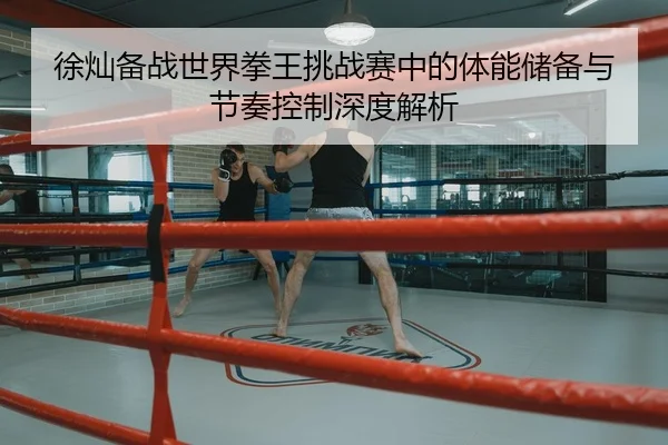 徐灿备战世界拳王挑战赛中的体能储备与节奏控制深度解析
